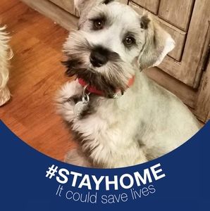 Meet your Posher, Donna kay jackson